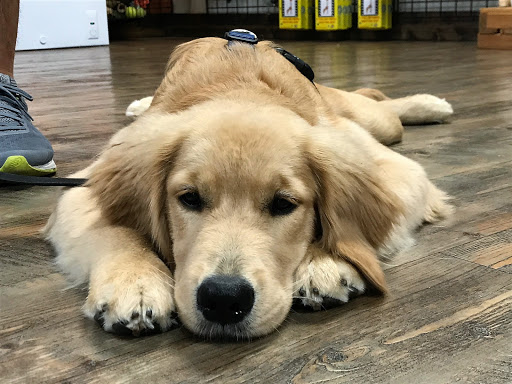 Pet Store «Earthwise Pet - Southlake», reviews and photos, 100 W Southlake Blvd #150, Southlake, TX 76092, USA