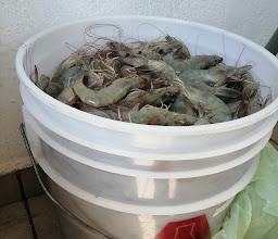 Mariscos las Glorias photo