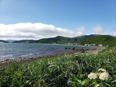 Silver Bay Seafoods