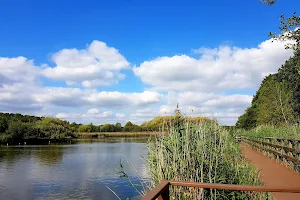 Mill Pond image