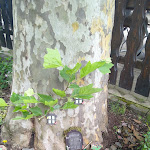 Photo n°2 de l'avis de Hans-Juergen.u fait le 13/10/2021 à 17:39 sur le  Eckmühle Ehrbachklamm à Beulich