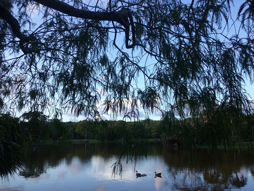 Park «Easterlin Park», reviews and photos, 1000 NW 38th St, Oakland Park, FL 33309, USA