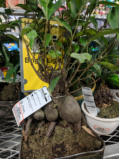 Home Improvement Store «The Home Depot», reviews and photos, 100 Arthur F Brady Dr, Portsmouth, NH 03801, USA