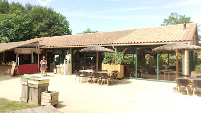 La Vallée Des Singes à Romagne