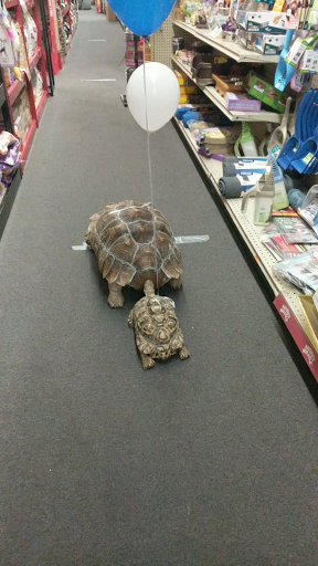 Pet Store «Affordable Pet Center», reviews and photos, 2022 Main St, Northampton, PA 18067, USA