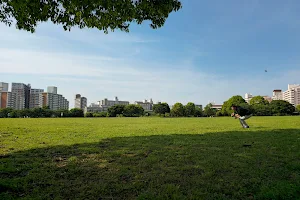 Ōjima-Komatsugawa Park image