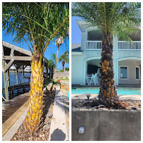 Down South Lawn Services - Photo 5 - Car repair in , Corpus Christi