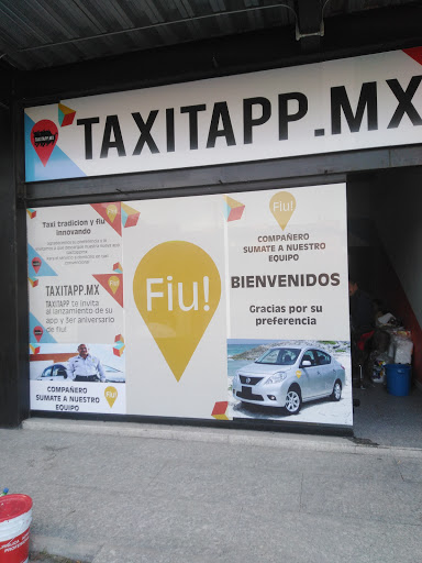 TAXITAPP.MX