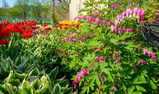 Winery «Lanthier Winery», reviews and photos, 123 Mill St, Madison, IN 47250, USA