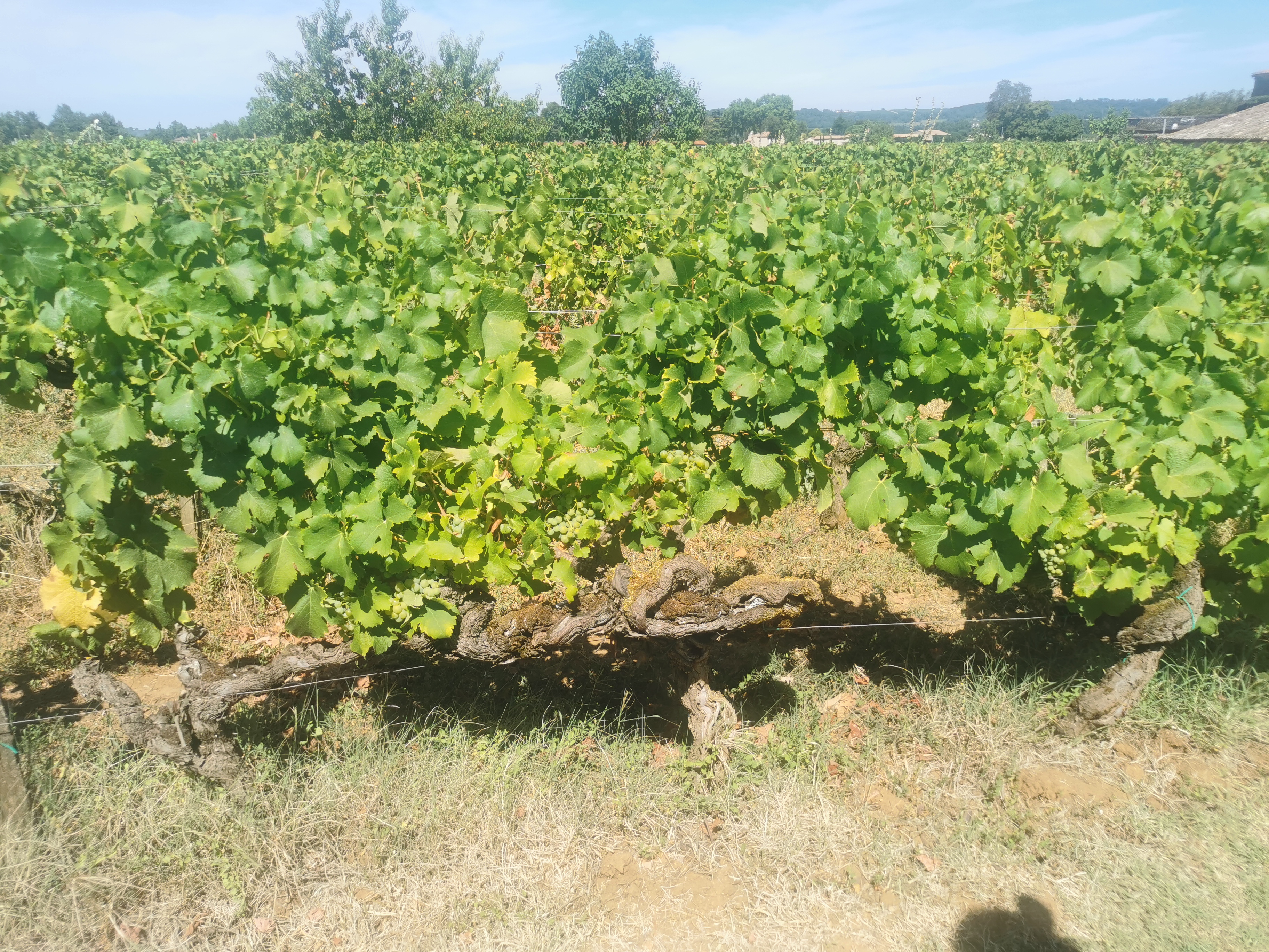 Photo n° 3 de l'avis de Léanna.o fait le 03/08/2022 à 12:28
