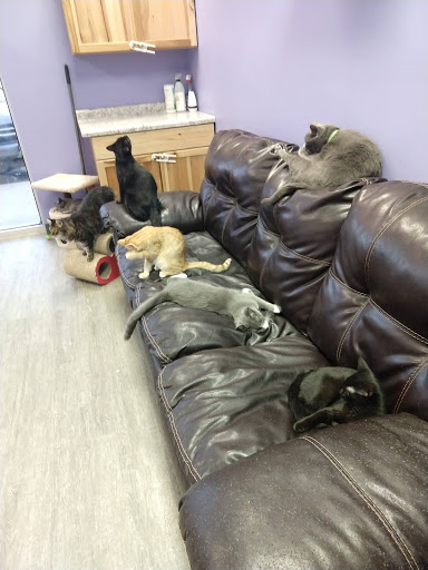 Pet Supply Store «Animal House Pet Supplies», reviews and photos, 733 Phillips Blvd, Sauk City, WI 53583, USA