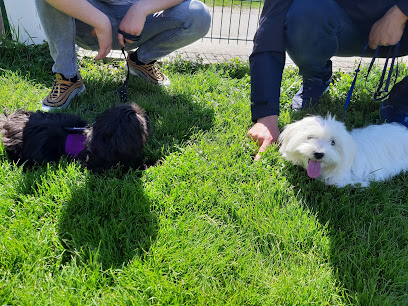 Dog's Point, Hundezentrum Leonding