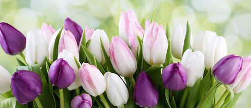 Grocery Store «Schnucks», reviews and photos, 109 N Mattis Ave, Champaign, IL 61821, USA