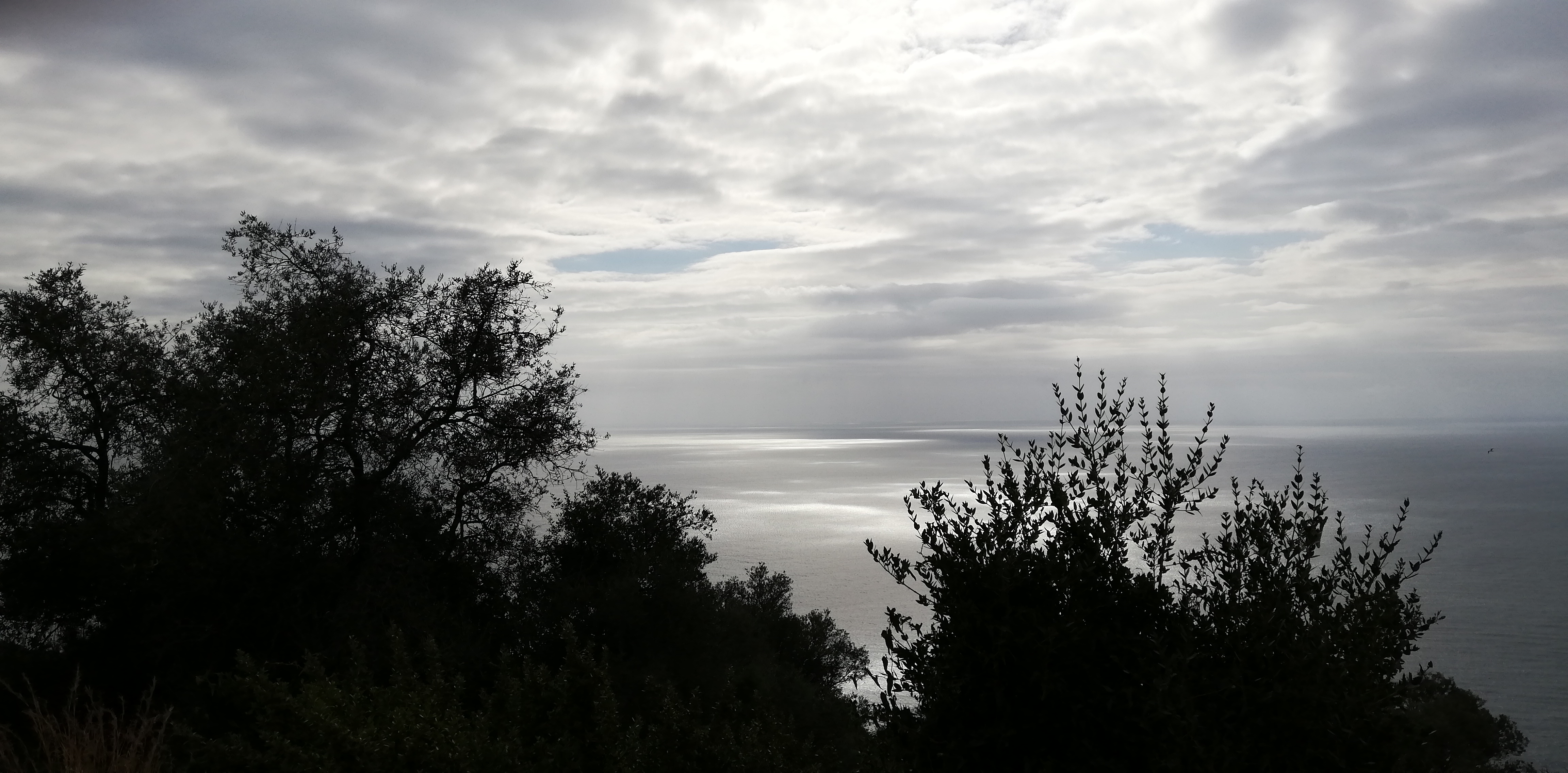 Photo n° 12 de l'avis de Myriam.A fait le 07/04/2019 à 22:11