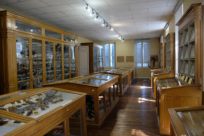 Musée d'Histoire Naturelle Philadelphe Thomas à Gaillac