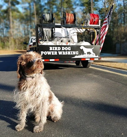 Bird Dog Power Washing and Roof Cleaning