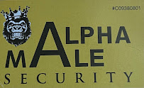 Alpha Male Security - Photo 1 - Car repair in , Abilene