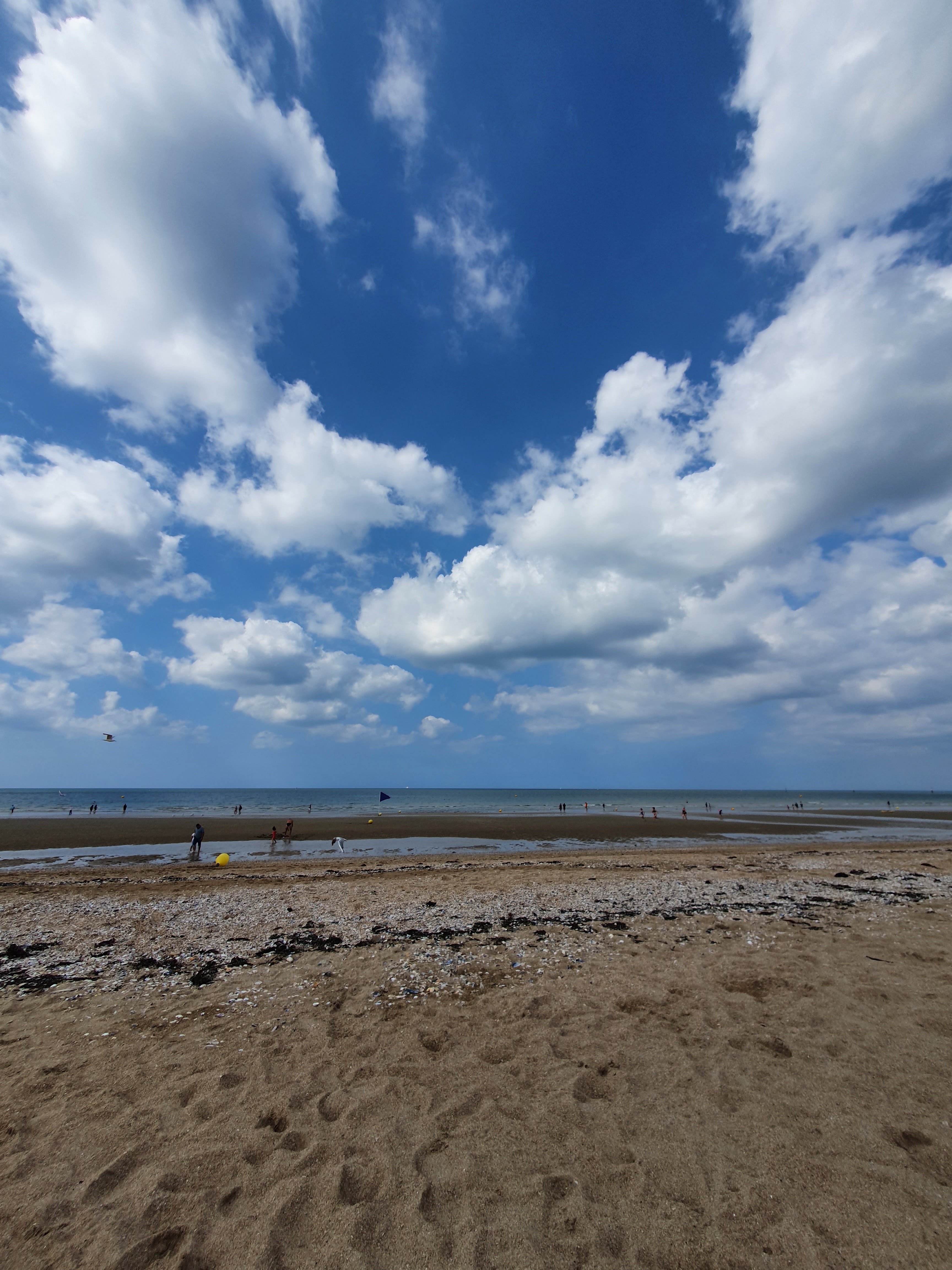 Photo n° 1 de l'avis de Jean-françois.u fait le 31/08/2021 à 06:03