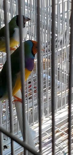 Pet Store «Animal Instincts Aquarium and Pet Center», reviews and photos, 811 Plymouth Ave, Fall River, MA 02721, USA