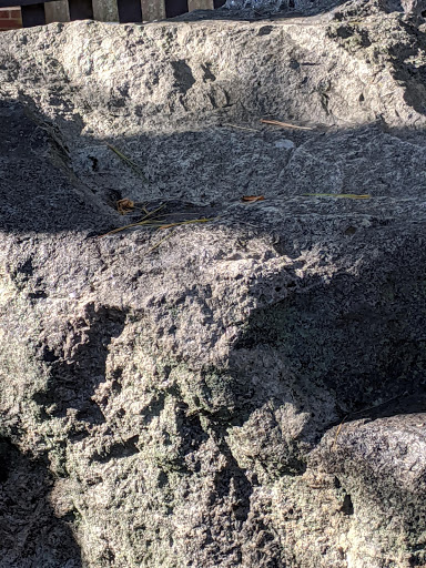 Historical Landmark «The House of the Seven Gables», reviews and photos, 115 Derby St, Salem, MA 01970, USA