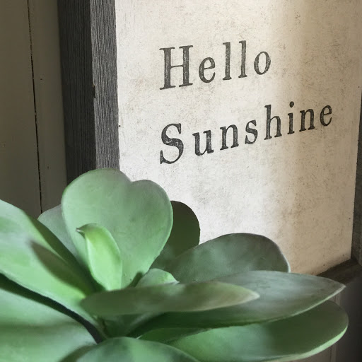 Gift Shop «Dancing Elephant, Inc.», reviews and photos, 2006 San Marco Blvd, Jacksonville, FL 32207, USA