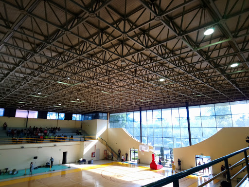 Gimnasio de la UPIICSA