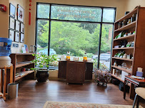 The Alternative Clinic - Photo 4 - Car repair in Asheville, NC, Asheville