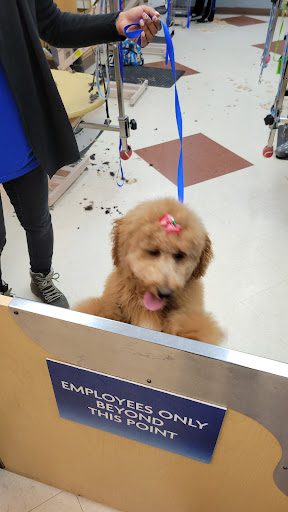 Pet Supply Store «PetSmart», reviews and photos, 23470 Allen Rd, Woodhaven, MI 48183, USA