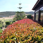 Photo n°8 de l'avis de Paolo.e fait le 15/06/2023 à 19:12 sur le  Hotel Costa Caddu à San Teodoro