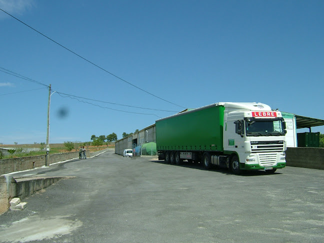 Avaliações doA. J. Dias - Transportes, Lda. em Macedo de Cavaleiros - Serviço de transporte