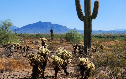 Sonoran Preserve -Desert Vista Trailhead image