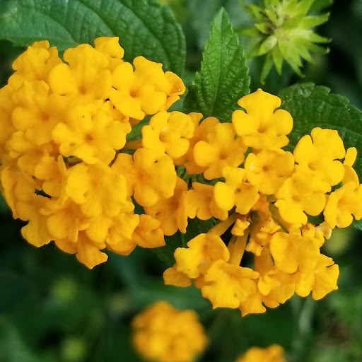 Live Music Venue «The Charleston Pour House», reviews and photos, 1977 Maybank Hwy, Charleston, SC 29412, USA