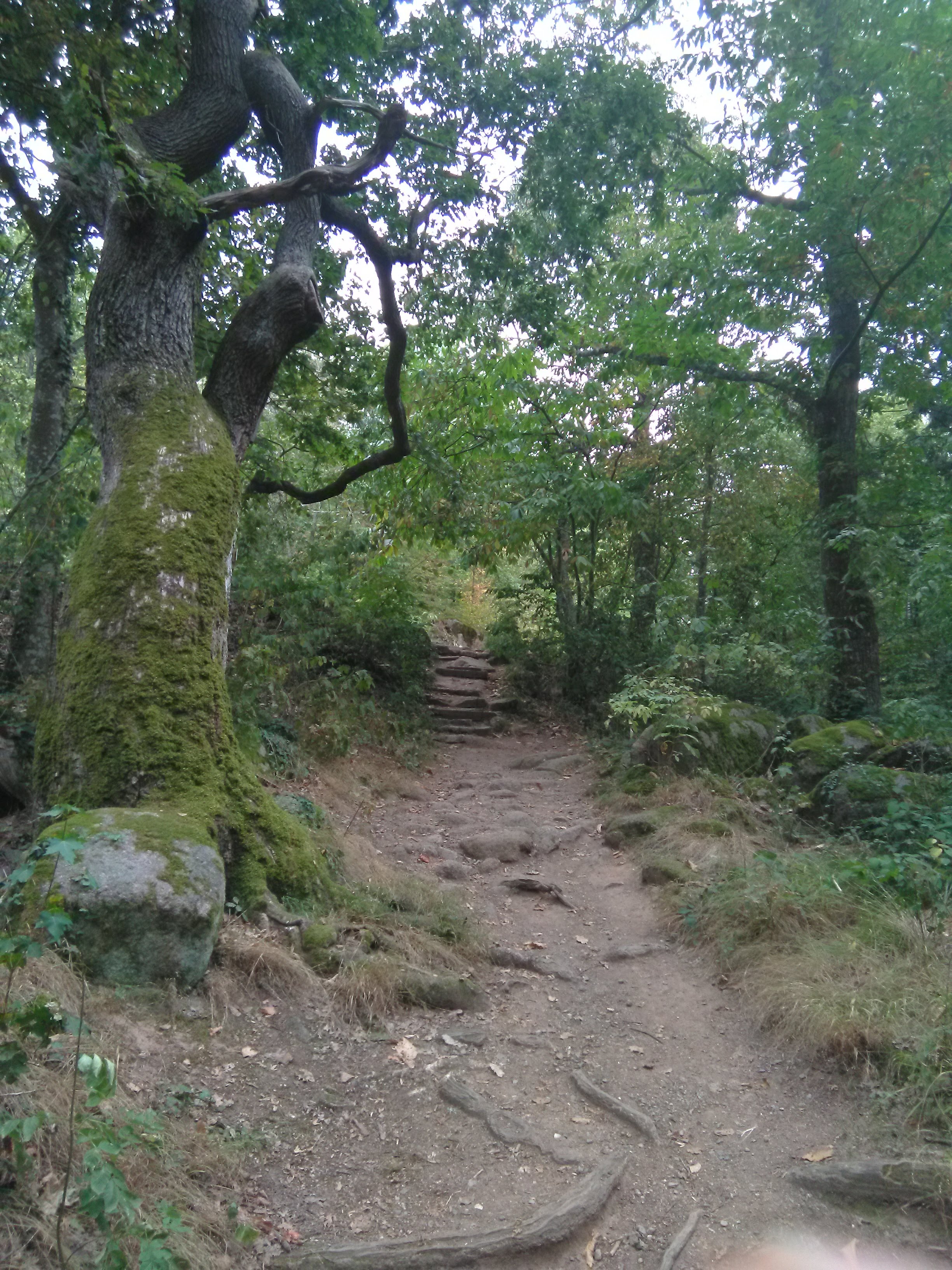 Photo n° 5 de l'avis de Dmitriy.i fait le 27/09/2019 à 10:07
