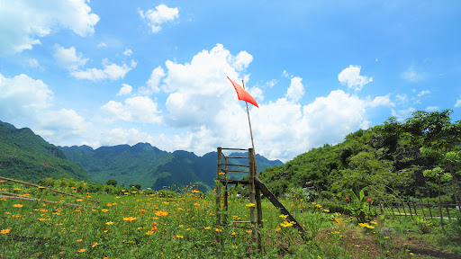 Top 20 cửa hàng ainosofia Huyện Mai Châu Hòa Bình 2022