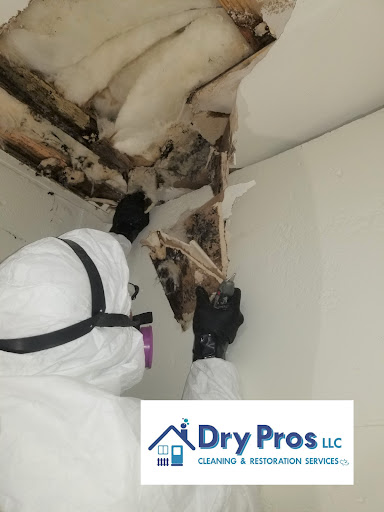 Water Damage Restoration Service «Dry Pros LLC - Cleaning & Restoration Services», reviews and photos, 50 Glendale Avenue, Suite D, Asheville, NC 28803, USA