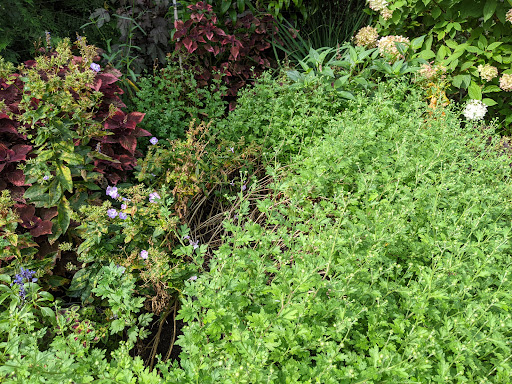 Ice Cream Shop «Cornell Dairy Bar», reviews and photos, 411 Tower Rd, Ithaca, NY 14853, USA