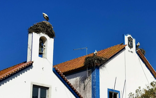 Avaliações doReserva Natural do Estuário do Sado em Setúbal - Outro