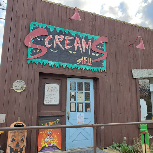 Convenience Store «Hell In A Handbasket», reviews and photos, 4025 Patterson Lake Rd, Pinckney, MI 48169, USA