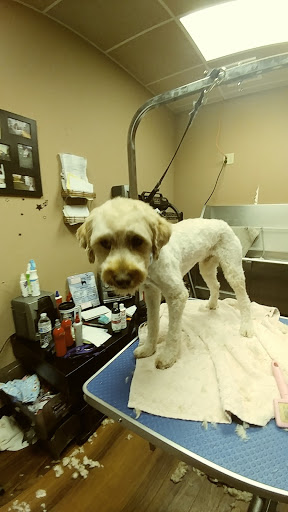 Pet Store «Pet Valu», reviews and photos, 2645 Shillington Rd, Sinking Spring, PA 19608, USA