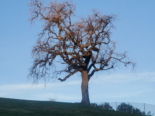 Golf Course «Spring Valley Golf Course», reviews and photos, 3441 Calaveras Rd, Milpitas, CA 95035, USA