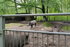 Neumünster Zoo image