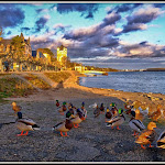 Photo n°1 de l'avis de Nhan.I fait le 25/02/2020 à 11:26 sur le  Weinstube Gelbes Haus- Eltville à Eltville