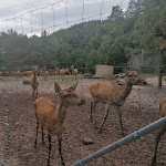 Photo n°1 de l'avis de lucie.� fait le 05/10/2022 à 12:41 sur le  Jagdhaus Seeblick à Breitungen