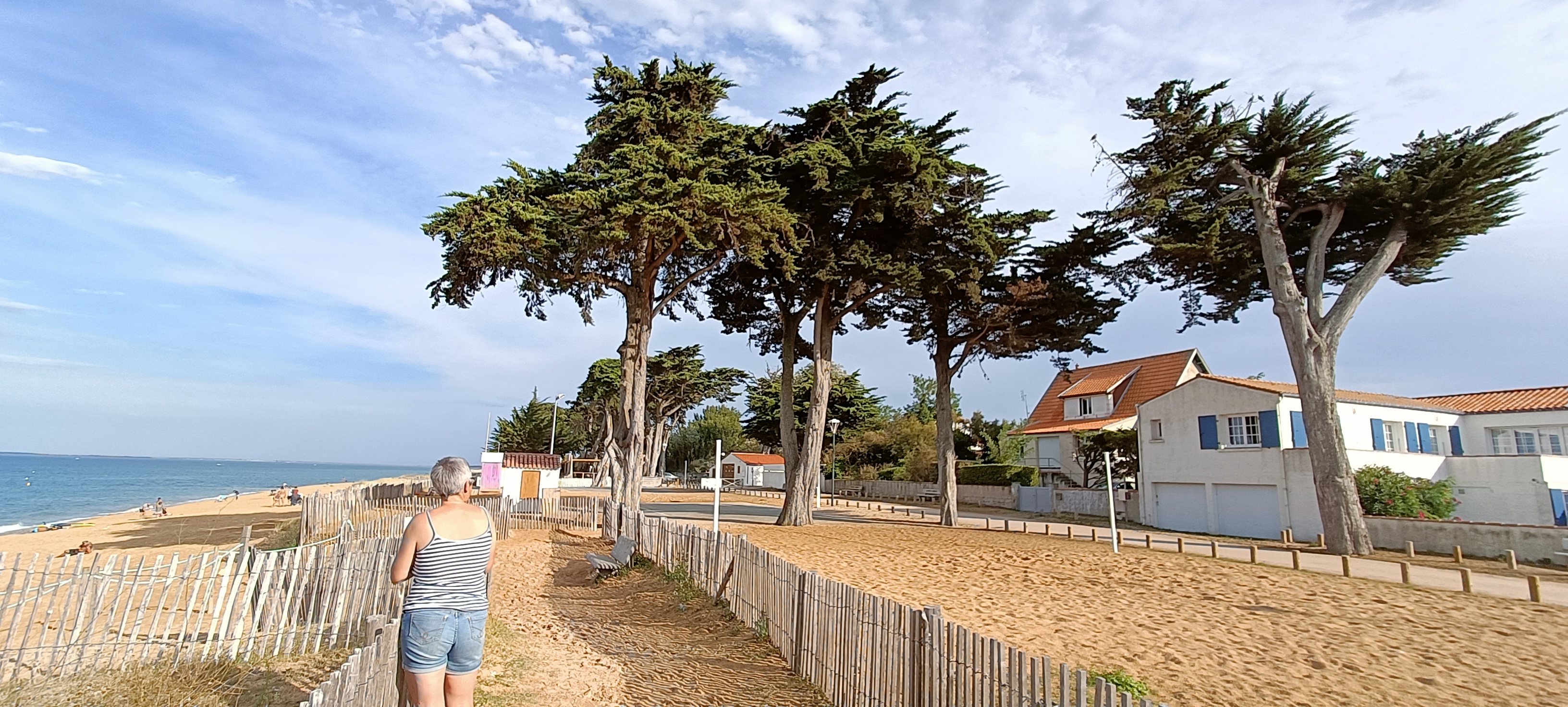 Photo n° 1 de l'avis de NEW.E fait le 29/08/2022 à 17:00