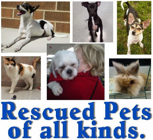 Pet Store «Critters Pet Shop», reviews and photos, Randall Rd, South Elgin, IL 60177, USA