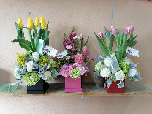 Floristería Versalles – Monclova