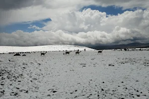 Vista al Chimborazo image