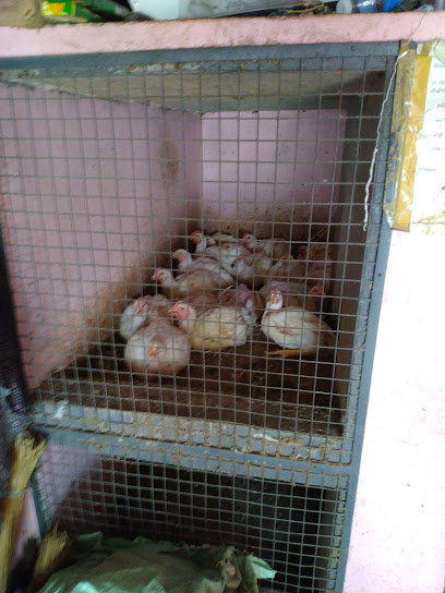 Murad Chicken Stall