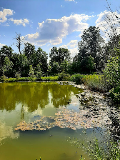 'Long John' McClure Pond
