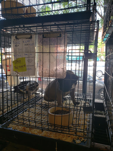 Pet Supply Store «Whiteway Pet Shop», reviews and photos, 950 Elizabeth Ave, Elizabeth, NJ 07201, USA